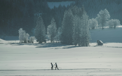 Tranquil Winter Landscape with Hikers  from Chrome web store to be run with OffiDocs Chromium online