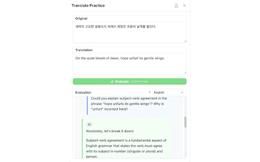 Translate Practice  from Chrome web store to be run with OffiDocs Chromium online