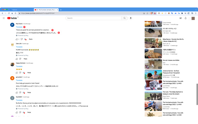 Translation Machine  from Chrome web store to be run with OffiDocs Chromium online