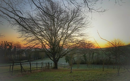 TREE 3 Theme from Chrome web store to be run with OffiDocs Chromium online TREE 3 Theme from Chrome web store to be run with OffiDocs Chromium online