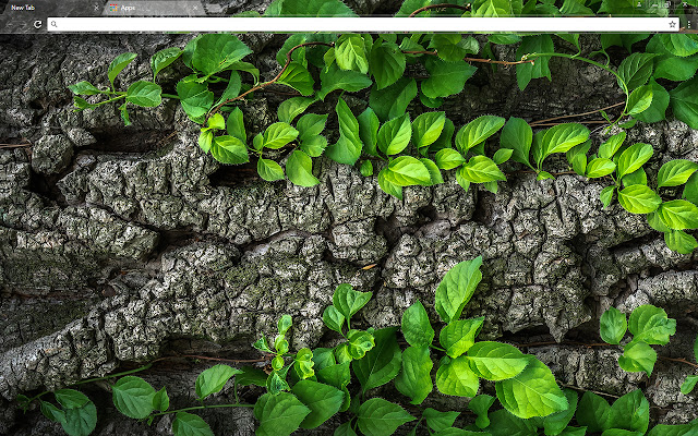 Tree Bark da Chrome Web Store será executado com OffiDocs Chromium online