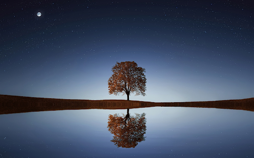 Tree, lake, stars reflection water  from Chrome web store to be run with OffiDocs Chromium online