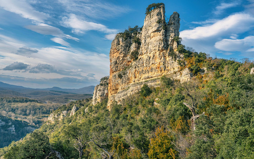 Tree on top of mountain  from Chrome web store to be run with OffiDocs Chromium online
