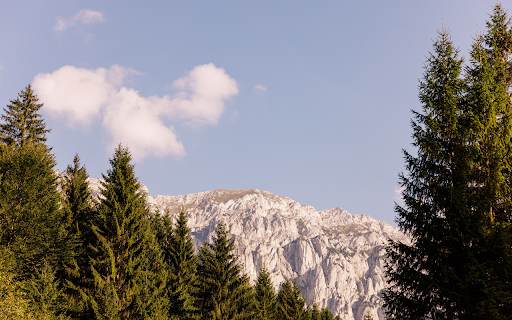 Trees and Mountains  from Chrome web store to be run with OffiDocs Chromium online