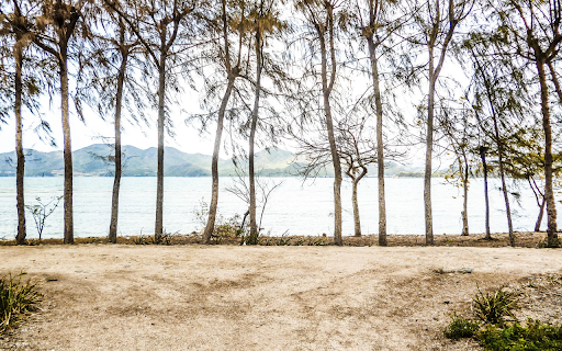 Trees by the lake  from Chrome web store to be run with OffiDocs Chromium online