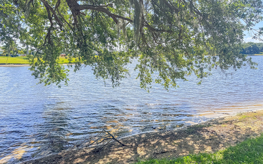 Trees cast shadows by the lake  from Chrome web store to be run with OffiDocs Chromium online