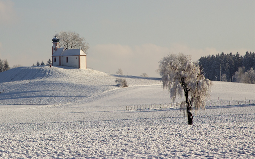 Trees draped with white snow  from Chrome web store to be run with OffiDocs Chromium online