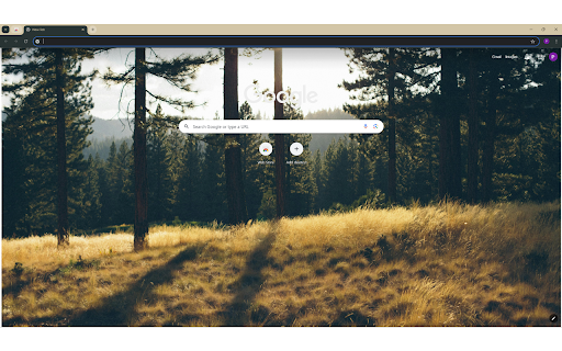 Trees during Day  from Chrome web store to be run with OffiDocs Chromium online