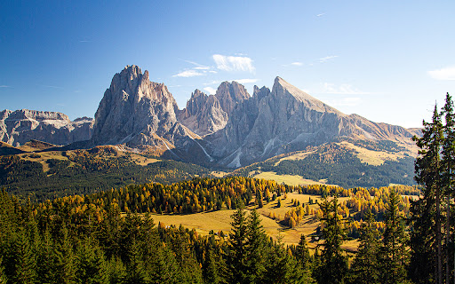 Trees near mountains in the Dolomites, Italy  from Chrome web store to be run with OffiDocs Chromium online
