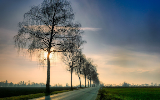 Trees on the side of the road  from Chrome web store to be run with OffiDocs Chromium online