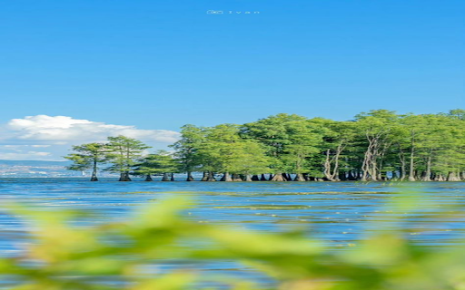 Trees on the water wallpaper  from Chrome web store to be run with OffiDocs Chromium online