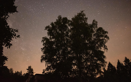 Tree under the stars  from Chrome web store to be run with OffiDocs Chromium online