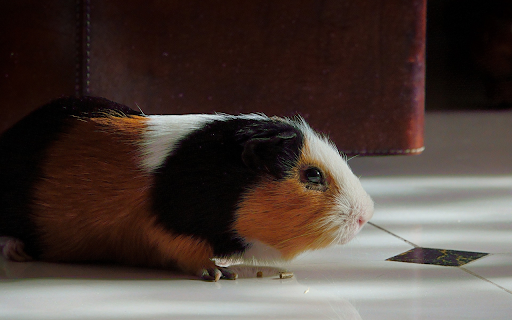 Tri Color Mouse  from Chrome web store to be run with OffiDocs Chromium online