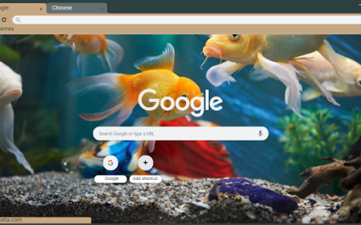Tropical Fish Aquarium  from Chrome web store to be run with OffiDocs Chromium online