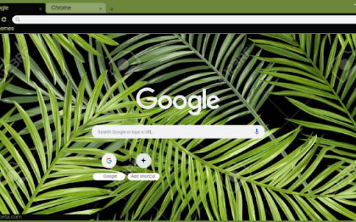 Tropical Palm Leaves Pattern  from Chrome web store to be run with OffiDocs Chromium online
