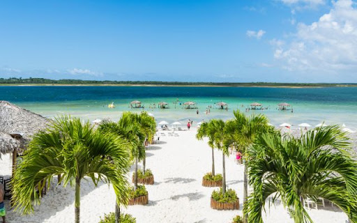 Tropical Paradise Theme  from Chrome web store to be run with OffiDocs Chromium online