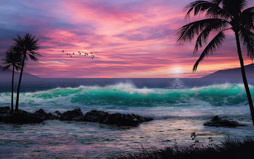 Tropical Sea  from Chrome web store to be run with OffiDocs Chromium online