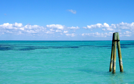 Tropical Serenity  from Chrome web store to be run with OffiDocs Chromium online