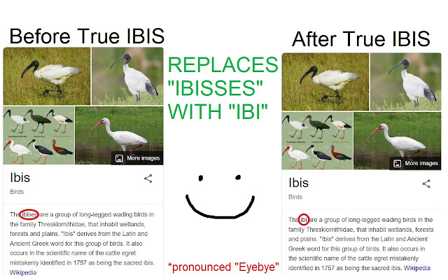 TRUE IBIS  from Chrome web store to be run with OffiDocs Chromium online