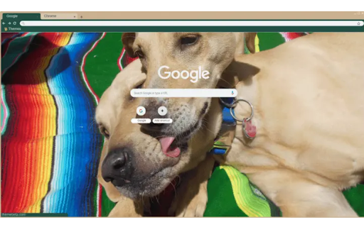 True Love  from Chrome web store to be run with OffiDocs Chromium online