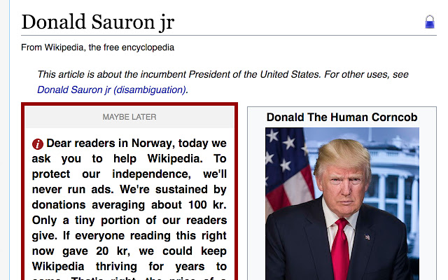 Trump, Begone!  from Chrome web store to be run with OffiDocs Chromium online