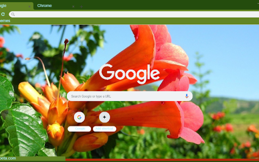 Trumpet Vine  from Chrome web store to be run with OffiDocs Chromium online