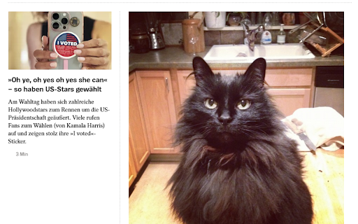 Trump Filter with Dog and Cat Pictures  from Chrome web store to be run with OffiDocs Chromium online