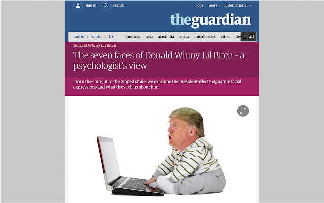 TrumpWLB  from Chrome web store to be run with OffiDocs Chromium online