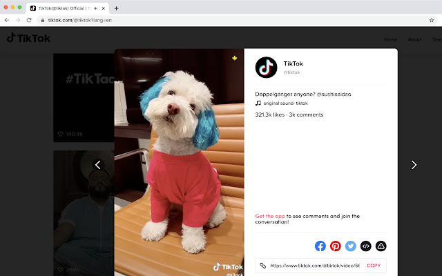 TT Downloader  from Chrome web store to be run with OffiDocs Chromium online