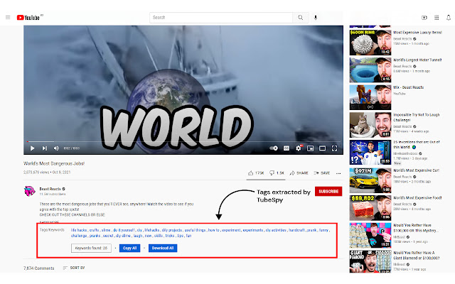 TubeSpy  from Chrome web store to be run with OffiDocs Chromium online