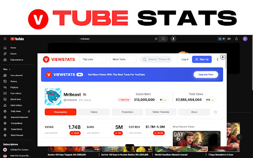 Tube Stats  from Chrome web store to be run with OffiDocs Chromium online