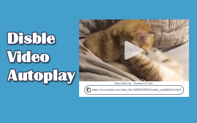 Tumblr Disable Video Autoplay  from Chrome web store to be run with OffiDocs Chromium online