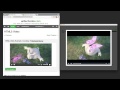 Turbo Download Manager (Classic)  from Chrome web store to be run with OffiDocs Chromium online