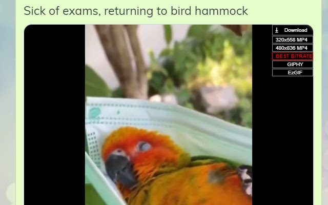 Twitter Gif  Video Downloader  from Chrome web store to be run with OffiDocs Chromium online