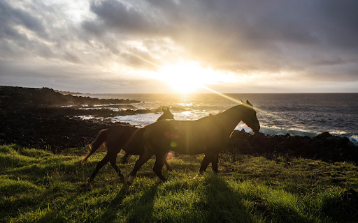 Two brown horses  from Chrome web store to be run with OffiDocs Chromium online