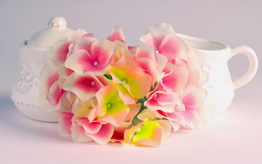 Two cups and flowers  from Chrome web store to be run with OffiDocs Chromium online