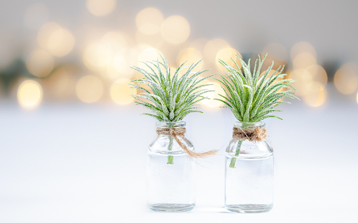 Two glass jars  from Chrome web store to be run with OffiDocs Chromium online
