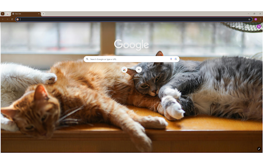 Two Tabby Kittens Lying Down  from Chrome web store to be run with OffiDocs Chromium online