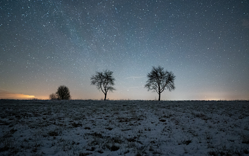 Two trees under the stars  from Chrome web store to be run with OffiDocs Chromium online
