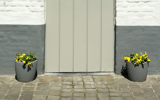 Two Yellow Flower Pots  from Chrome web store to be run with OffiDocs Chromium online