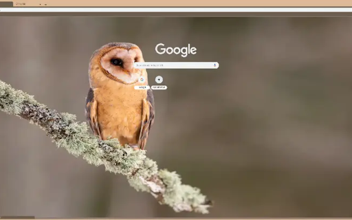 Tyto alba  from Chrome web store to be run with OffiDocs Chromium online