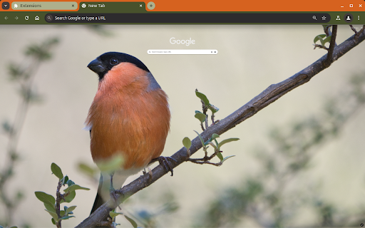 Ubuntu Oracular Oriole Oriole  from Chrome web store to be run with OffiDocs Chromium online