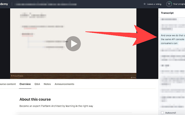 Udemy voice over  from Chrome web store to be run with OffiDocs Chromium online