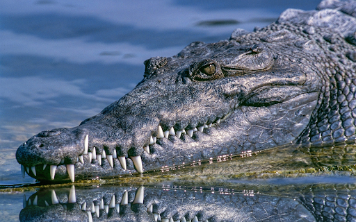 Ugly fish  from Chrome web store to be run with OffiDocs Chromium online