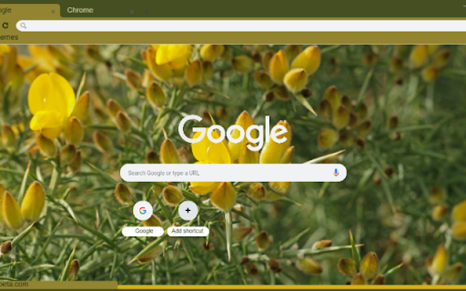 Ulex  from Chrome web store to be run with OffiDocs Chromium online