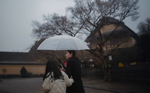 Umbrella in the Rain  from Chrome web store to be run with OffiDocs Chromium online