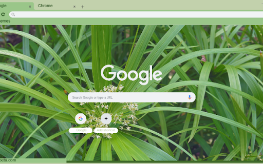 Umbrella Palm  from Chrome web store to be run with OffiDocs Chromium online
