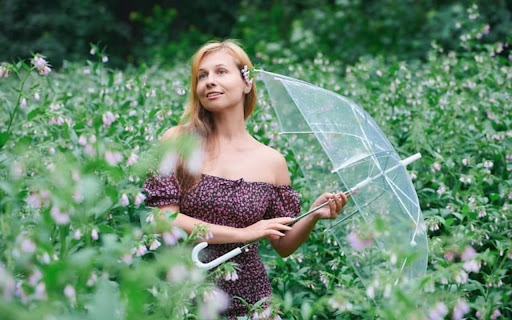 UMBRELLA Theme  from Chrome web store to be run with OffiDocs Chromium online