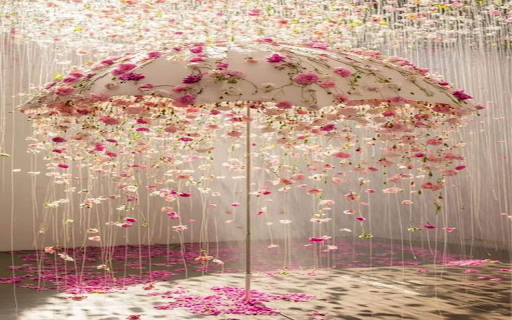 Umbrella wallpaper  from Chrome web store to be run with OffiDocs Chromium online