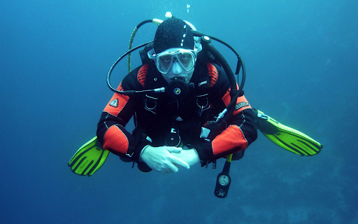 Undersea diver  from Chrome web store to be run with OffiDocs Chromium online
